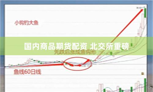 国内商品期货配资 北交所重磅